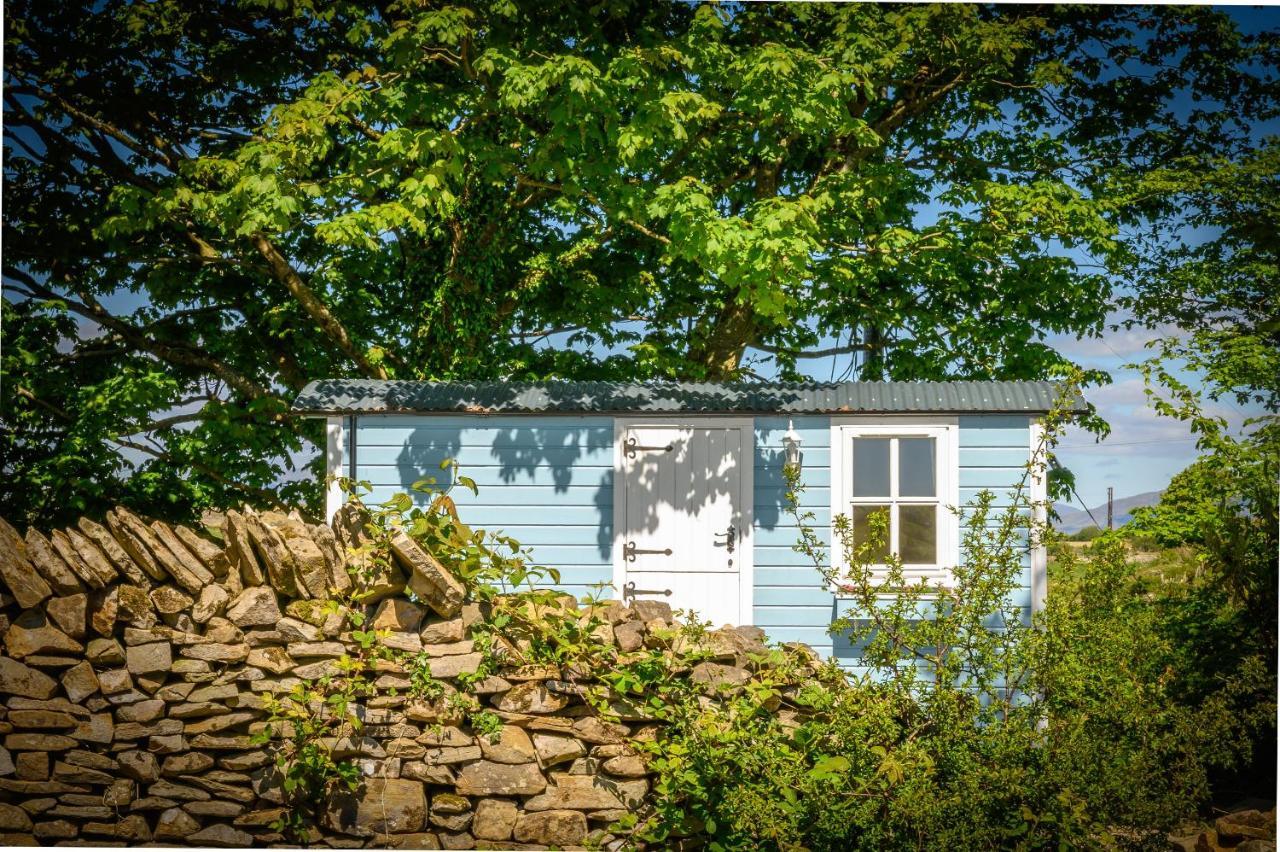 Vila Westport Glamping At Doon Angus Farm Exteriér fotografie