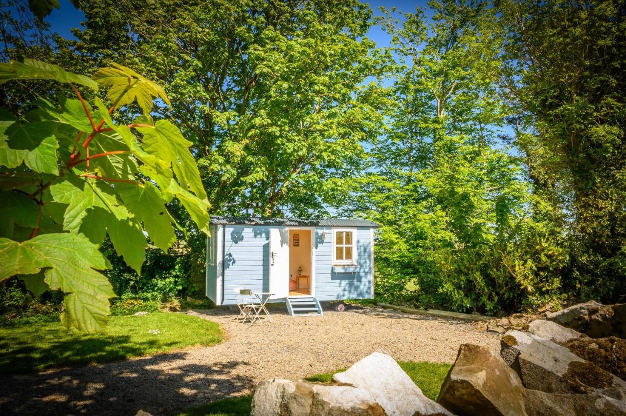 Vila Westport Glamping At Doon Angus Farm Exteriér fotografie