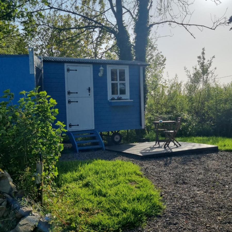 Vila Westport Glamping At Doon Angus Farm Exteriér fotografie