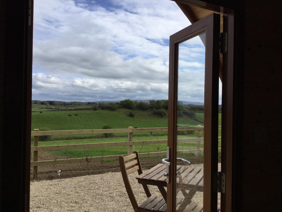 Vila Westport Glamping At Doon Angus Farm Exteriér fotografie